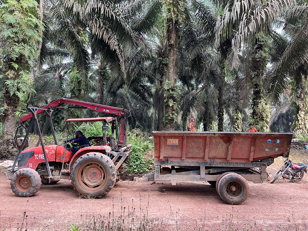 SAI to Launch MY Voice, a 4-Year USDOL Funded Child Labour and Forced Labour Eradication Programme in Malaysia with Support from The Centre and Others